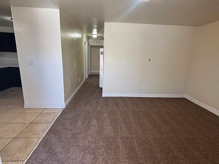 639 E 87th Pl — Photo 2