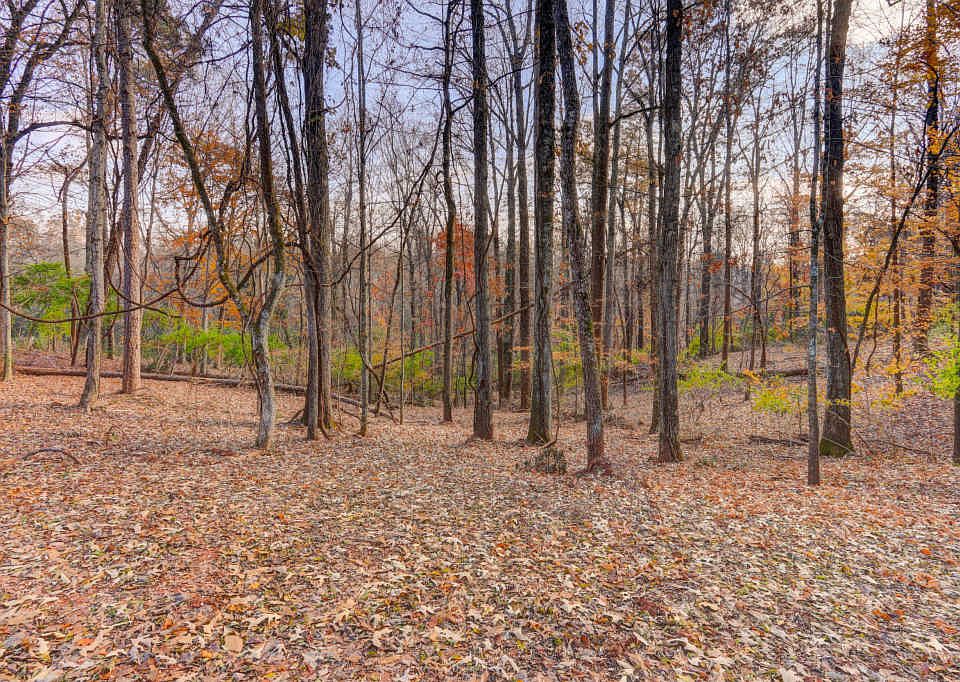 1st image of 1922 Dogwood Ln
