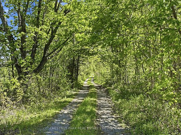 4th image of 4176 County Road 8