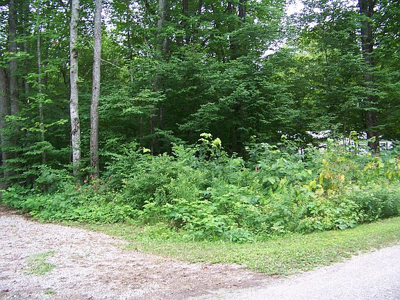5th image of Birchdale Dr
