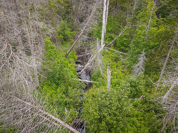 3rd image of 17185 21 Mile Rd