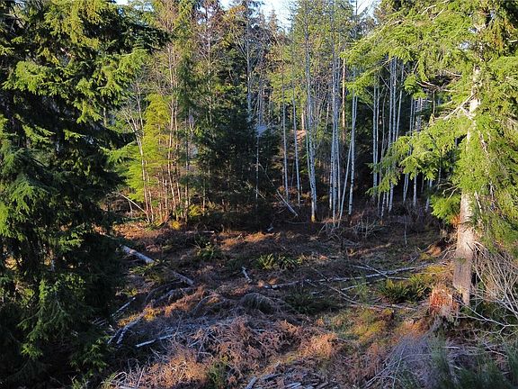 4th image of 579 Thomas Street