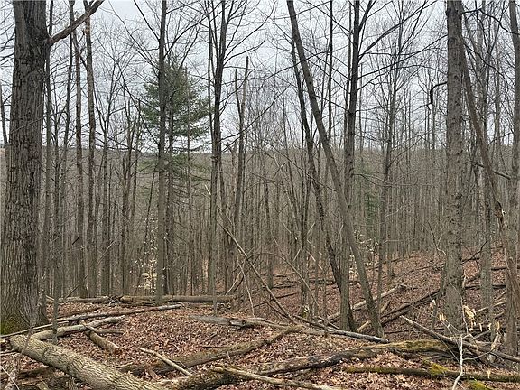 5th image of Winding Stair Rd Lot 31