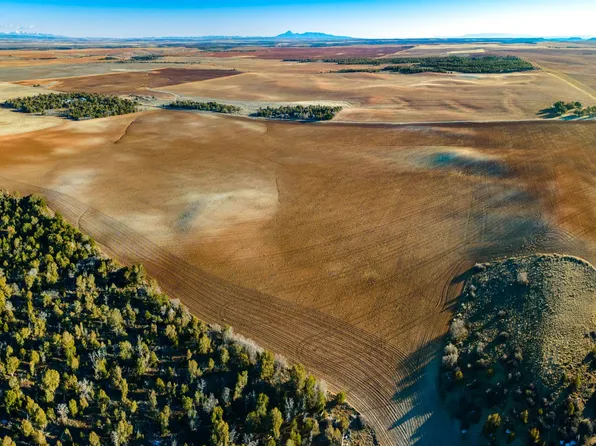 175 E Lockerby, Monticello, UT 84535