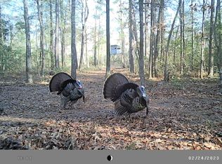 Lot #1 Harts Lane, Rocky Point, NC 28457