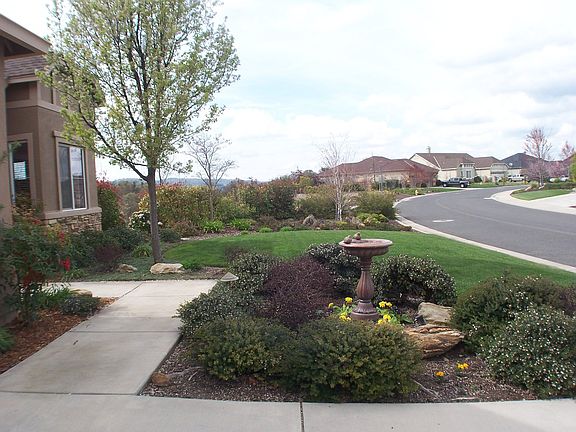 Looking Across Front