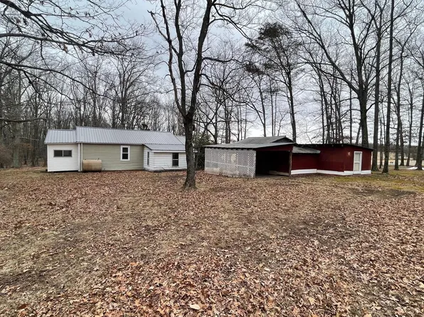 96 Jr Rannells Rd, Three Churches, WV 26757