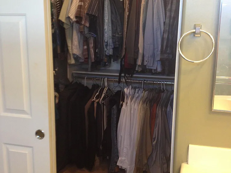 Walk-in closet (in master bath)