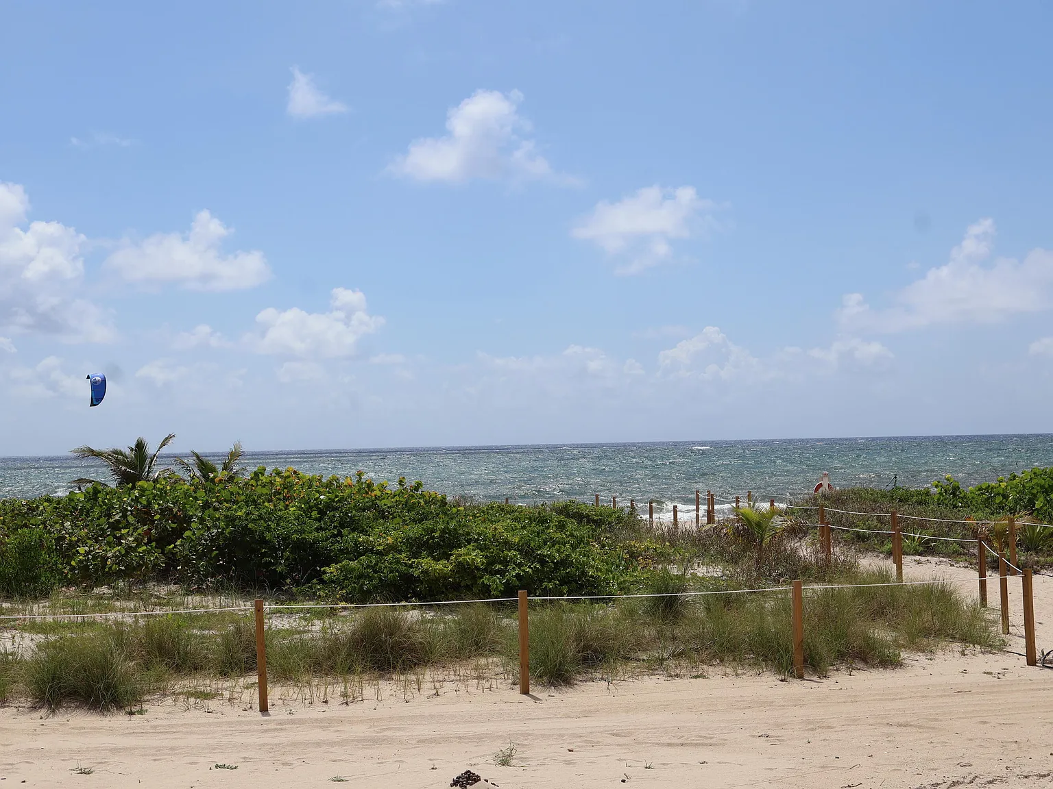 2 bed, 2.0 bath, 760 sqft, $3,000 — Photo 4