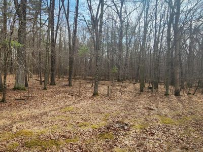 S Badger Ln #16, Arkdale, WI, 54613