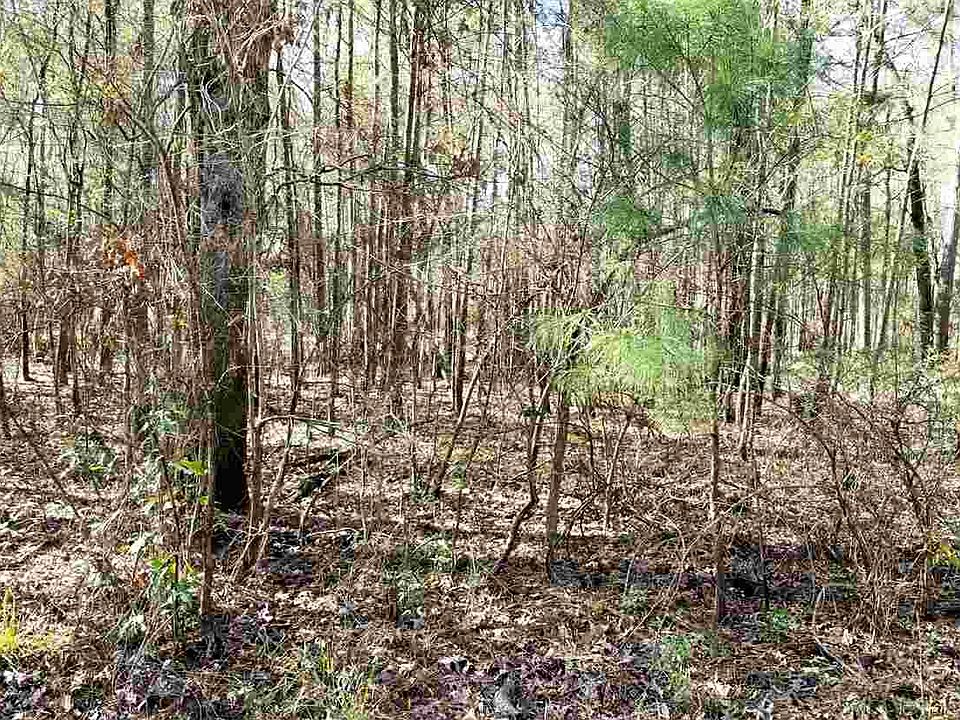 1st image of Hoffman Dr