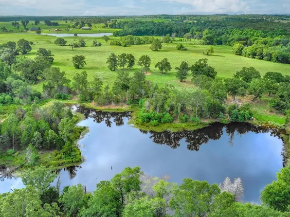 80/ Acres Private Rd #531, Grand Saline, TX 75140