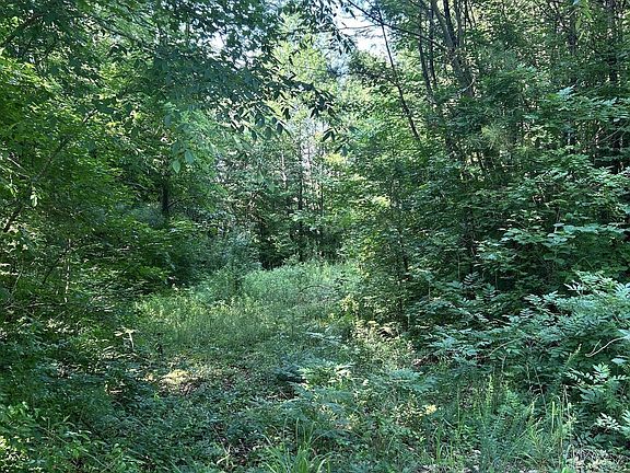 3rd image of 36 Lake Top Dr