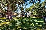 Huge shaded yard