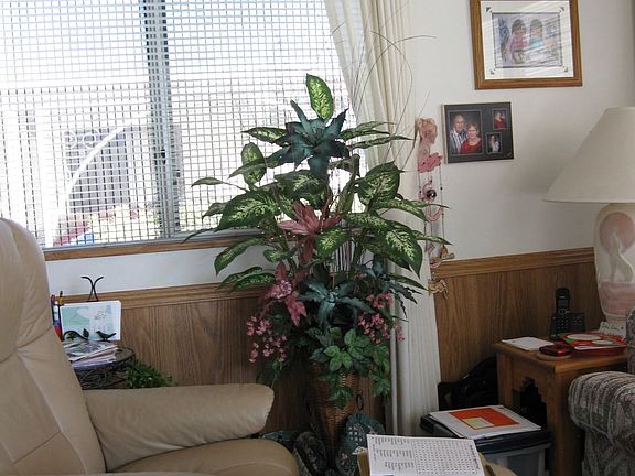 Living Room East