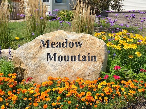 Meadow Mountain Subdivison