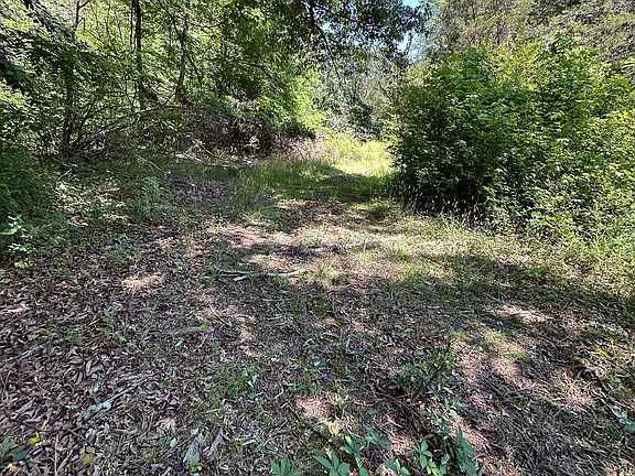 4th image of 3337 Cedar Hill Rd
