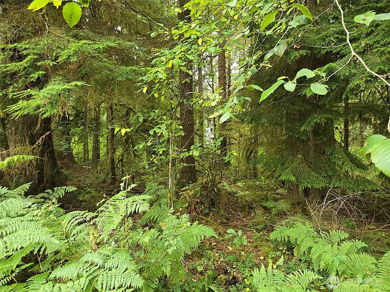 4th image of 0 Lund Road