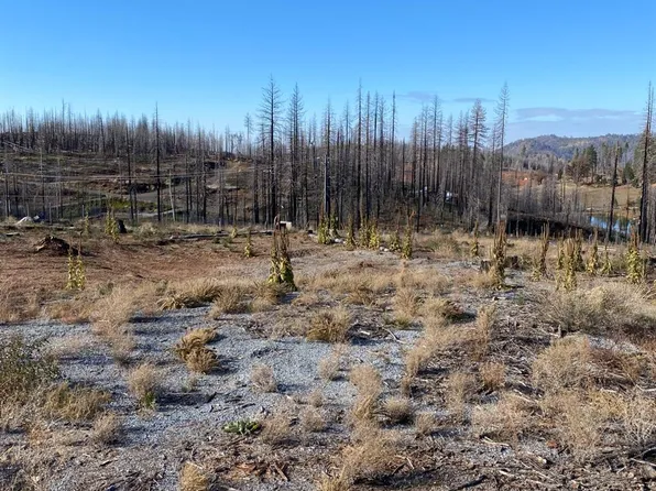 7127 Quietwood Dr, Grizzly Flats, CA 95636