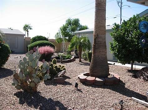 The Palms 427 011