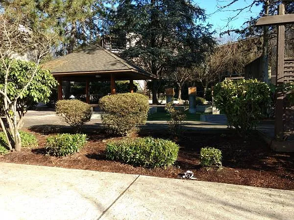 9847 Manchester Dr #105 — Photo 3