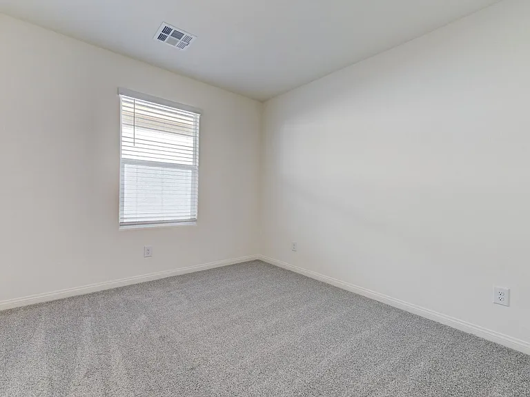 501 Red Lovebird Ave — Photo 39