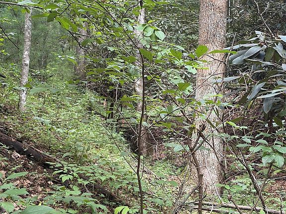 2nd image of N Old State Highway 16