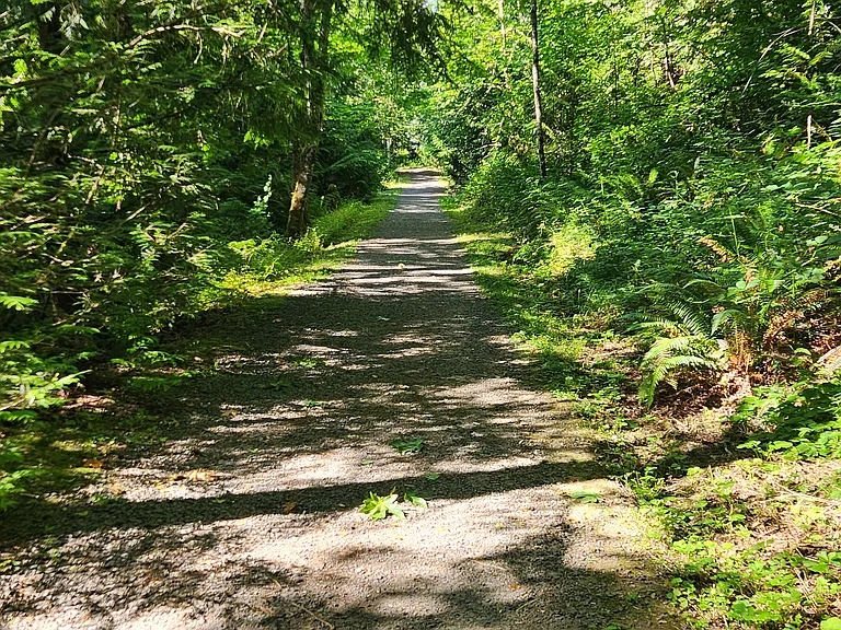 Path to Mill Pond