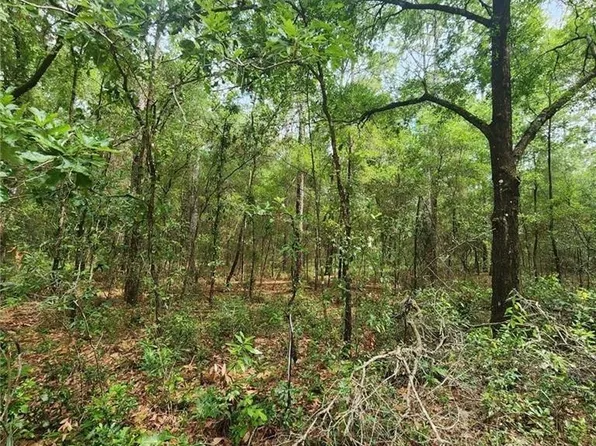 3172 E Kay Ln, Inverness, FL 34453