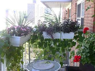 Sold by LG Fairmont Group