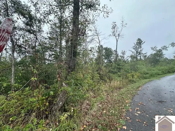 0 Galloway Rd, Dawson Springs, KY 42408