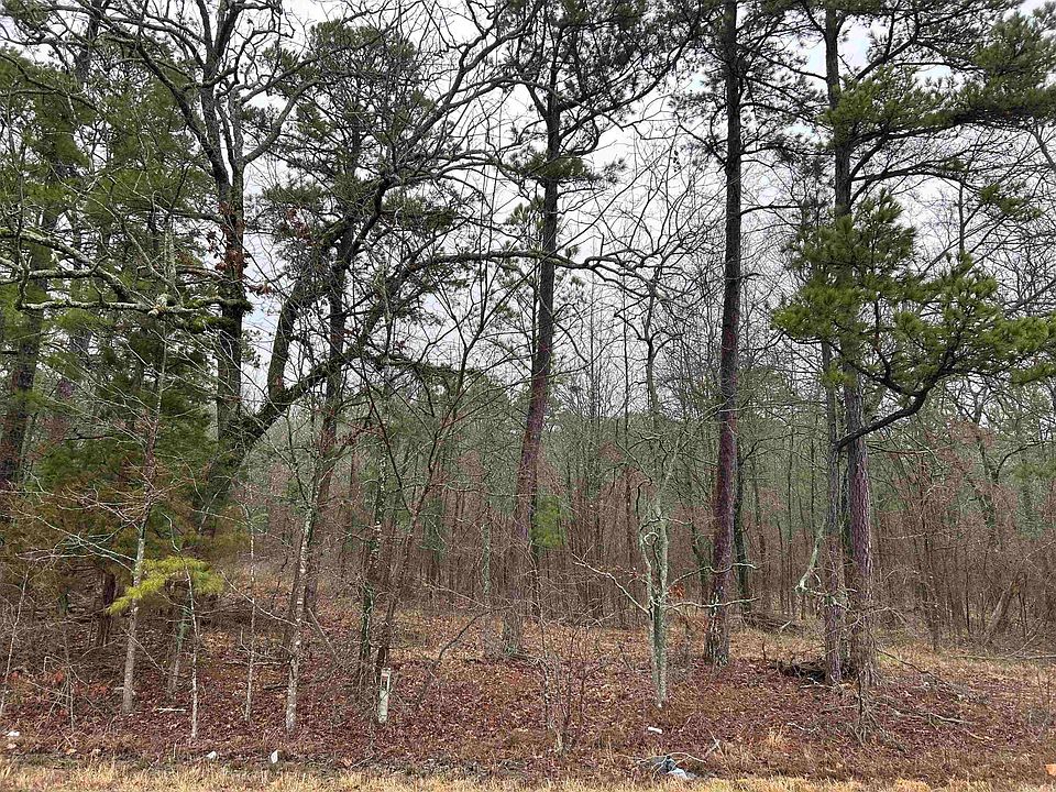 2nd image of 36610 Kanis Rd