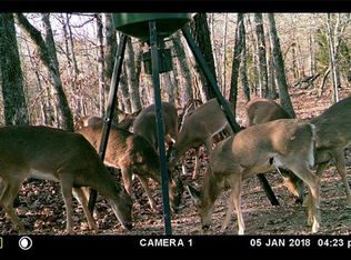 14189 Sugar Mountain Rd, West Fork, AR 72774