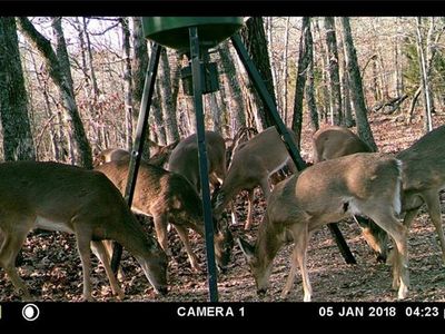 14189 Sugar Mountain Rd, West Fork, AR, 72774