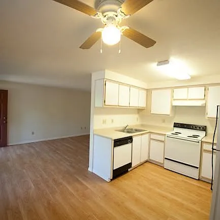 Spring Pines Apartments — Photo 3