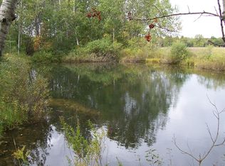 10182 Yates Rd, Copemish, MI 49625