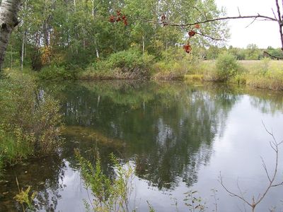 10182 Yates Rd, Copemish, MI, 49625