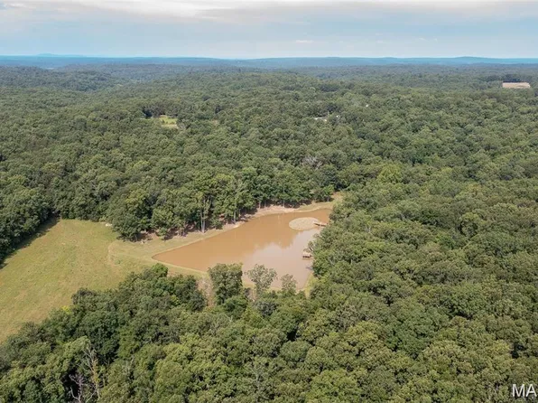 0 Tract Off Bch #2-924, Patton, MO 63662