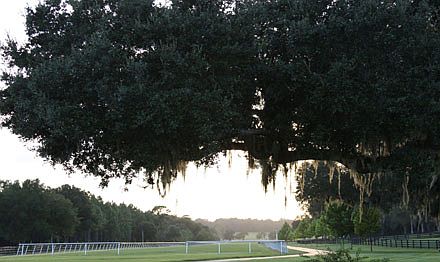 4th image of 15400 S Hwy 301