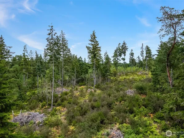 0 E South Island Drive, Shelton, WA 98584
