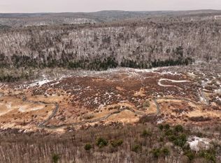 0 Halsey Valley Rd, Spencer, NY 14883