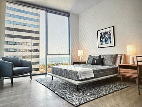 4th image of 51 E Randolph Dr #2110