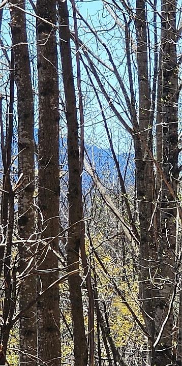 2nd image of tbd Earnest Ridge Road