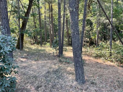 0 Hogan Rd, Jacksonville, OR, 97530