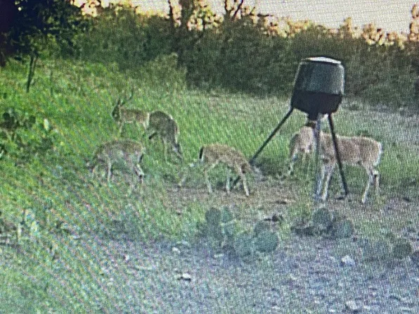 County Road 225, Brookesmith, TX 76827