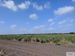 0 Texon Rd, Rio Hondo, TX 78583