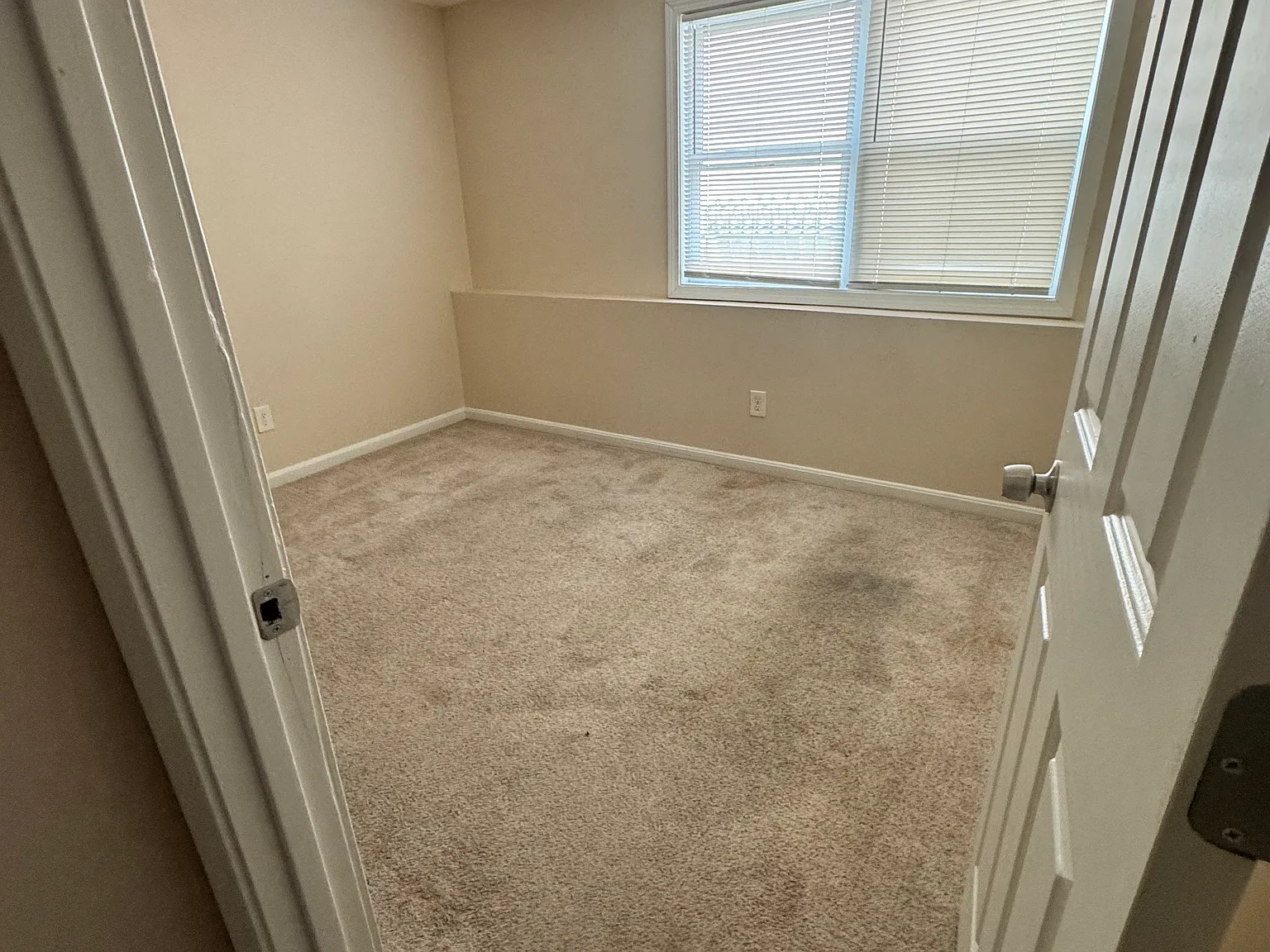 2 bed, 745 sqft, $1,900 — Photo 3
