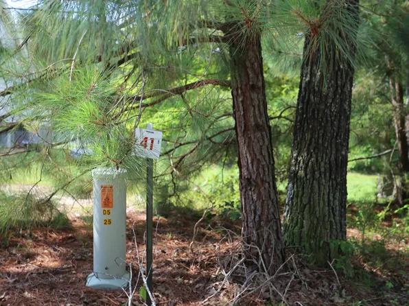 41 Pine View Dr, Benton, KY 42025