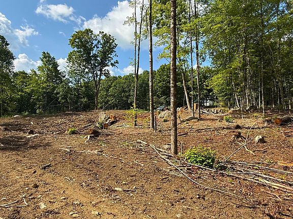 3rd image of Lot 9-1 Roxbury Road