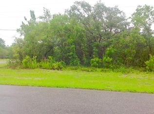2 Village Center Cir, Homosassa, FL 34446